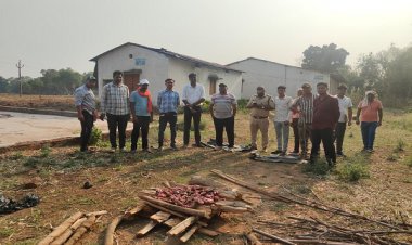 ’जंगली सूअर के मांस की बिक्री पर वन विभाग की बड़ी कार्रवाई, 14 किलो मांस जब्त’