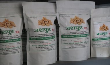 विशेष लेख : जशपुर का काजू बना किसानों की समृद्धि की नई पहचान