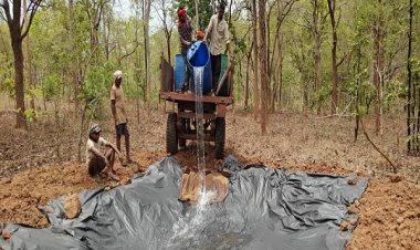 भीषण गर्मी से वन्यजीवों पर संकट, वन विभाग सतर्क