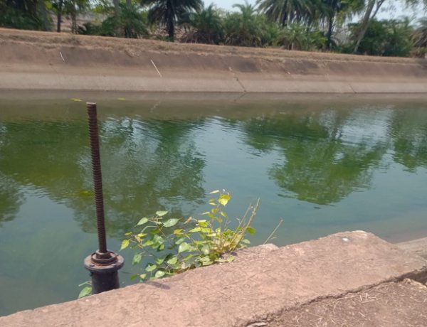 सुशासन तिहार में ग्रामीणों की मांग पर तांदुला जलाशय से नदी और नहरों में छोड़ा गया पानी