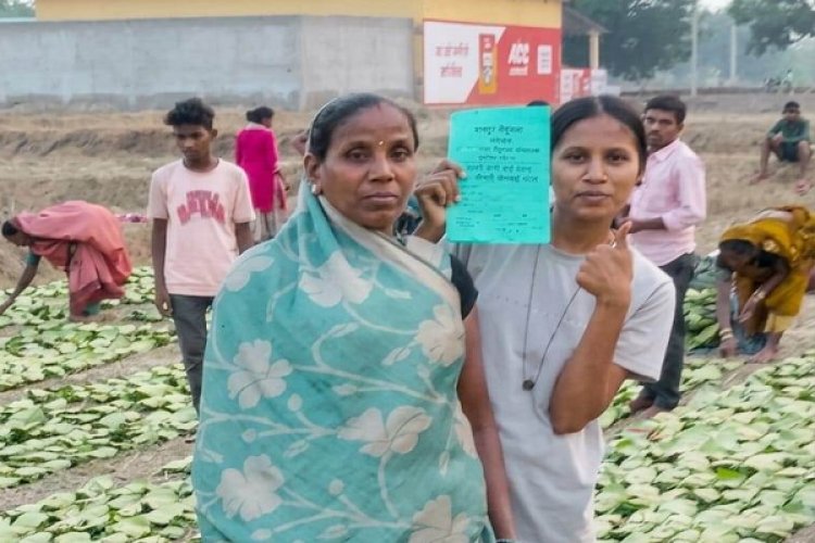 हरा सोना’ बना समृद्धि का आधार : तेंदूपत्ता खरीदी की बढ़ी दर ने संग्राहकों का बढ़ाया उत्साह व भरोसा, हर फड़ पर रौनक