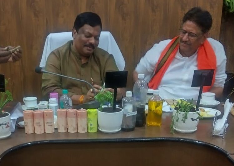 खेत की मेड़ बनी कमाई का जरिया : सतावर की खेती से बढ़ेगी किसानों की आय