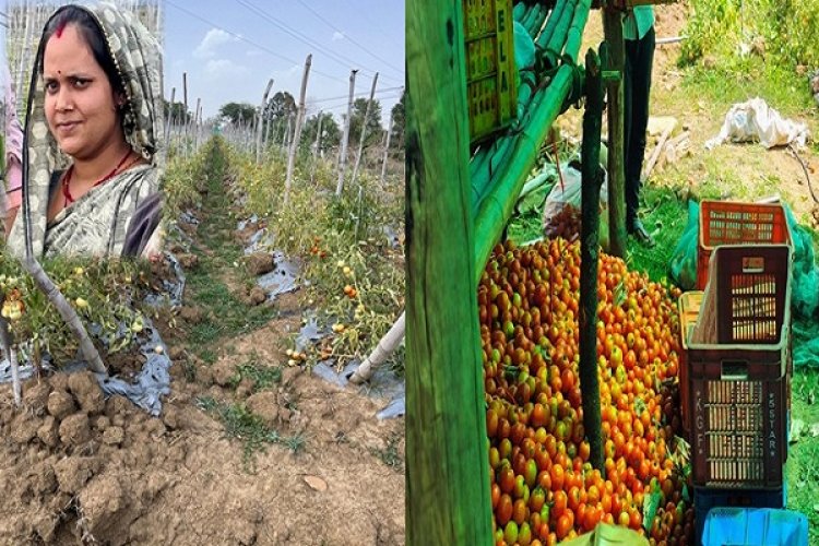 पशु पालन और सब्जी बाड़ी व्यवसाय से लखपति दीदी बन परिवार का सपना पूरा कर रही हैं निधि तिवारी