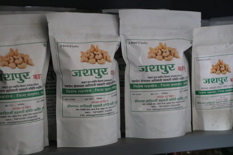 विशेष लेख : जशपुर का काजू बना किसानों की समृद्धि की नई पहचान