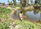 डबरी से समृद्धि : मत्स्य पालन और सब्जी उत्पादन से आत्मनिर्भर बने किसान वासम अब्बैया
