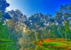 विशेष लेख : विश्व पर्यावरण दिवस 2026 : हरित विकास, जल संरक्षण और जनभागीदारी से पर्यावरणीय समृद्धि की ओर बढ़ता छत्तीसगढ़