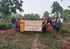 जशपुर की सभी ग्राम पंचायतों में रोजगार दिवस का आयोजन, मनरेगा से रोजगार और विकास को मिली नई गति