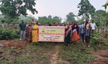 जशपुर की सभी ग्राम पंचायतों में रोजगार दिवस का आयोजन, मनरेगा से रोजगार और विकास को मिली नई गति