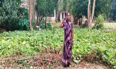मनरेगा की डबरी बनी समृद्धि का आधार, सब्जी उत्पादन से बढ़ी अम्बिका कंवर की आय