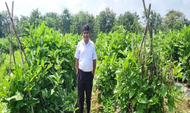 ग्राफ्टेड बैंगन की खेती से बदली किसान की तकदीर