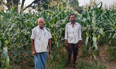 आधुनिक खेती की ओर कदम : नैनो उर्वरक और स्वीट कॉर्न ने बदली रामचंद्र की किस्मत
