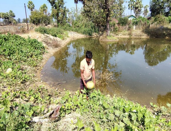 डबरी से समृद्धि : मत्स्य पालन और सब्जी उत्पादन से आत्मनिर्भर बने किसान वासम अब्बैया