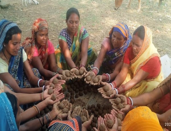 सीड बॉल बनाकर प्रकृति संरक्षण की अनूठी पहल, हरित जशपुर के निर्माण पर जोर