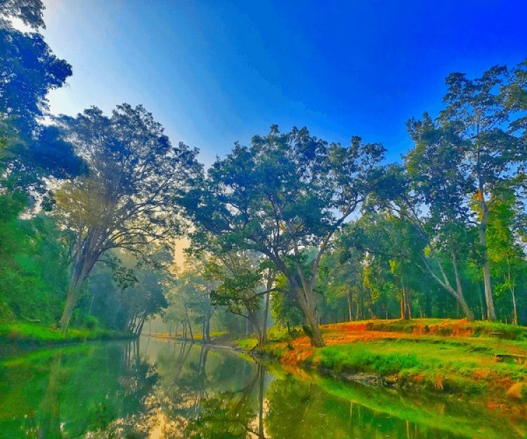 विशेष लेख : विश्व पर्यावरण दिवस 2026 : हरित विकास, जल संरक्षण और जनभागीदारी से पर्यावरणीय समृद्धि की ओर बढ़ता छत्तीसगढ़