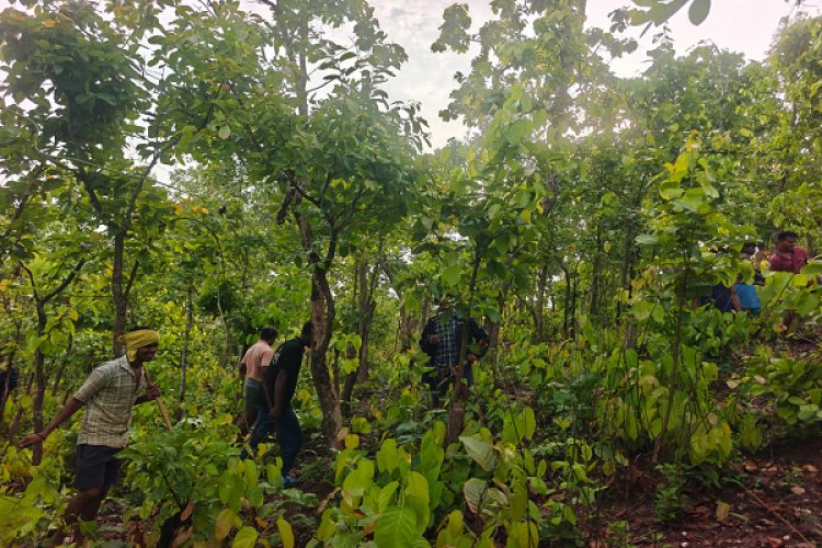 पर्यावरण संरक्षण की अनूठी मिसाल